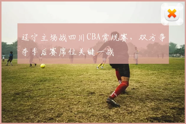 辽宁主场战四川CBA常规赛,双方争夺季后赛席位关键一战