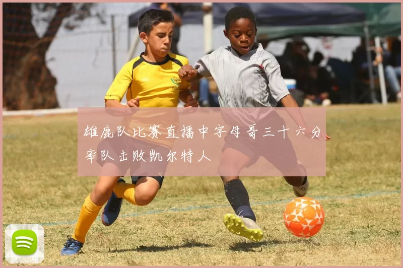 雄鹿队比赛直播中字母哥三十六分率队击败凯尔特人