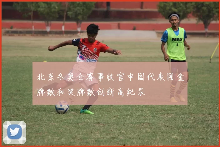 北京冬奥会赛事收官中国代表团金牌数和奖牌数创新高纪录