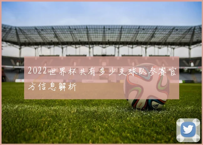 2022世界杯共有多少支球队参赛官方信息解析
