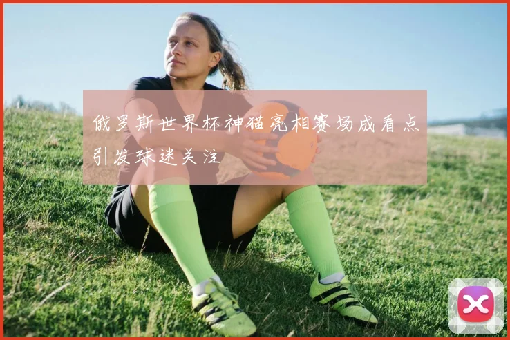 俄罗斯世界杯神猫亮相赛场成看点引发球迷关注