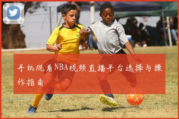 手机观看NBA视频直播平台选择与操作指南