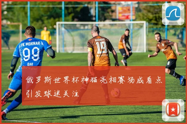 俄罗斯世界杯神猫亮相赛场成看点引发球迷关注