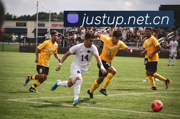 九游网页版 - 九游(中国)平台生态图